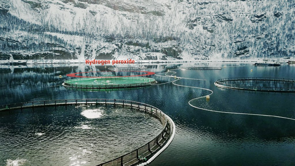 https://metrohm.scene7.com/is/image/metrohm/fish%20farm?qlt=85&ts=1644760598050&dpr=off